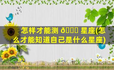 怎样才能测 💐 星座(怎么才能知道自己是什么星座)